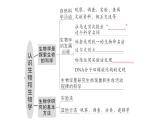 初中生物新北师大版七年级上册第1单元第1章 认识生物和生物学总结训练作业课件2024秋