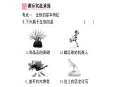 初中生物新北师大版七年级上册第1单元第1章 认识生物和生物学总结训练作业课件2024秋