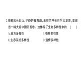 初中生物新北师大版七年级上册第1单元第1章 认识生物和生物学综合训练作业课件（2024秋）