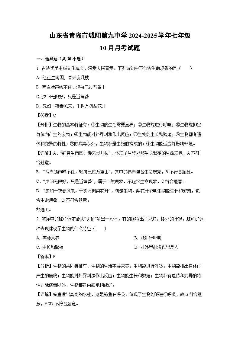 2024-2025学年山东省青岛市城阳第九中学七年级(上)10月月考生物试卷(解析版)第1页