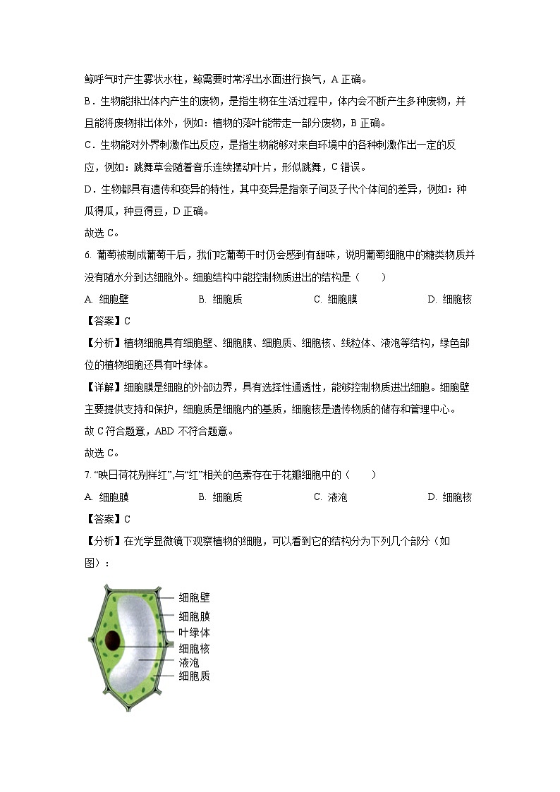 2024-2025学年山东省青岛市城阳第六中学七年级(上)10月月考生物试卷(解析版)03