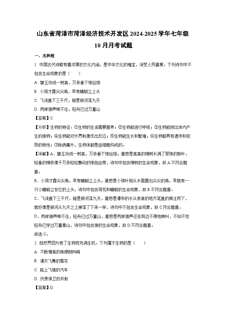 2024-2025学年山东省菏泽市菏泽经济技术开发区七年级(上)10月月考生物试卷(解析版)第1页