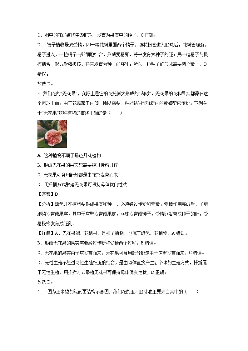 2023-2024学年山东省潍坊市高密市八年级(上)期中生物试卷(解析版)第3页