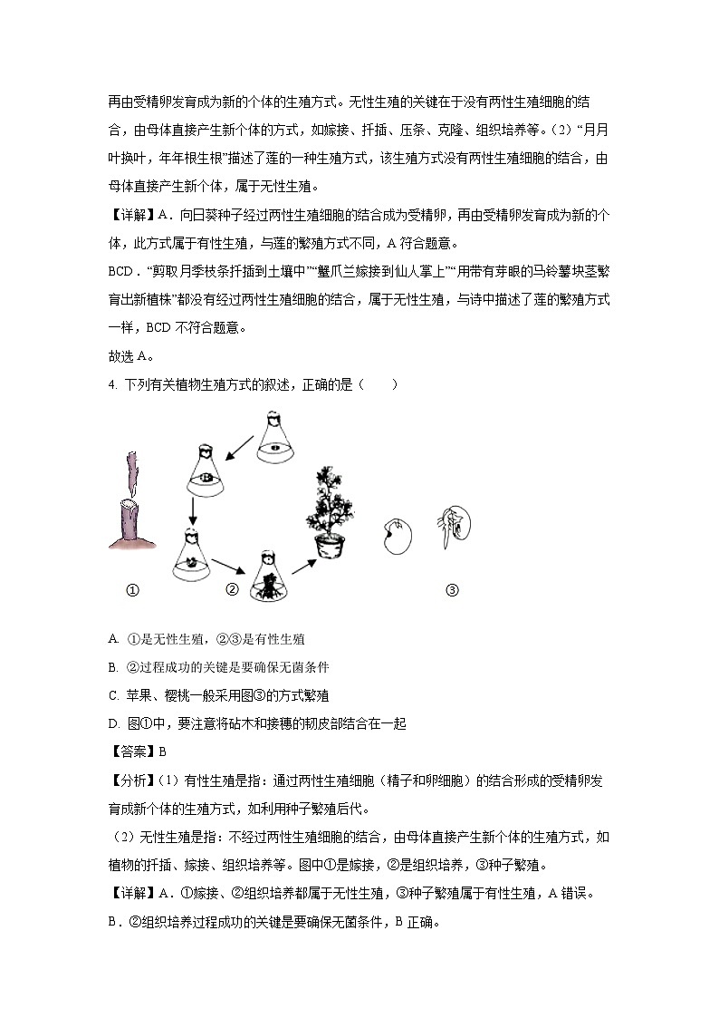 2023-2024学年山东省济宁市梁山县八年级(上)期中生物试卷(解析版)第3页