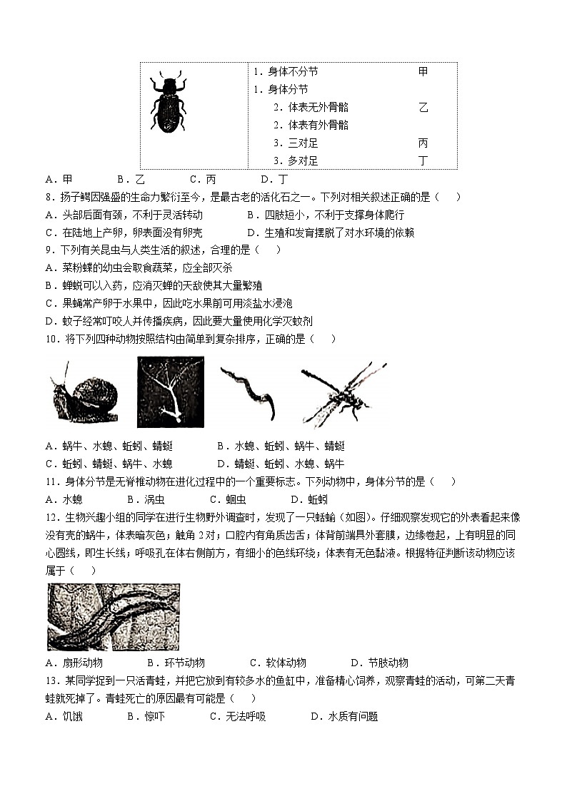 山东省烟台市南部2024-2025学年八年级上学期期中生物学试题(无答案)第2页