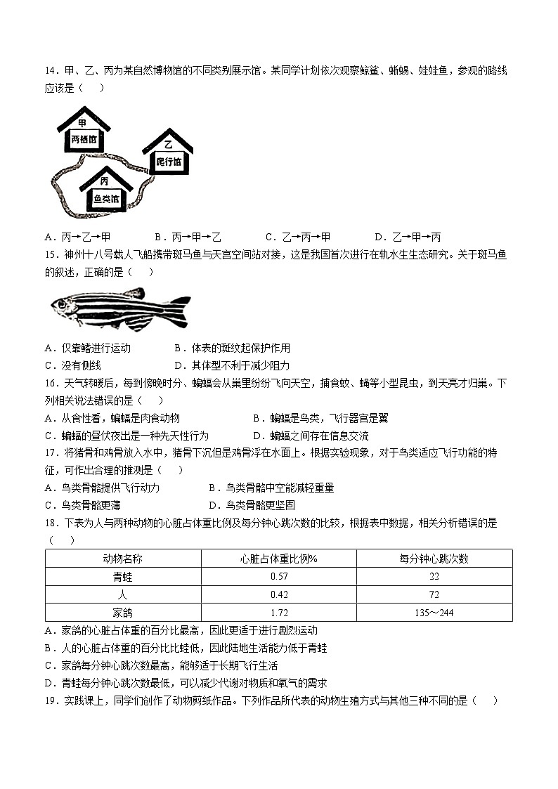 山东省烟台市南部2024-2025学年八年级上学期期中生物学试题(无答案)第3页