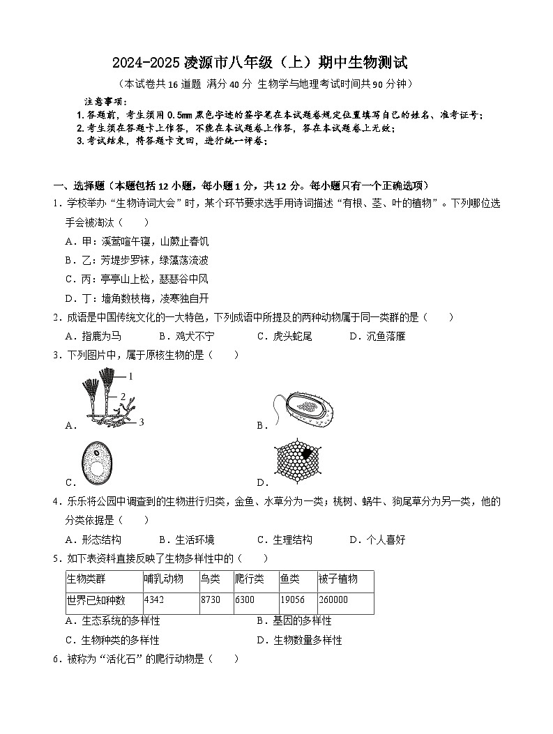 辽宁省朝阳市凌源市2024-2025学年八年级上学期11月期中生物试题第1页