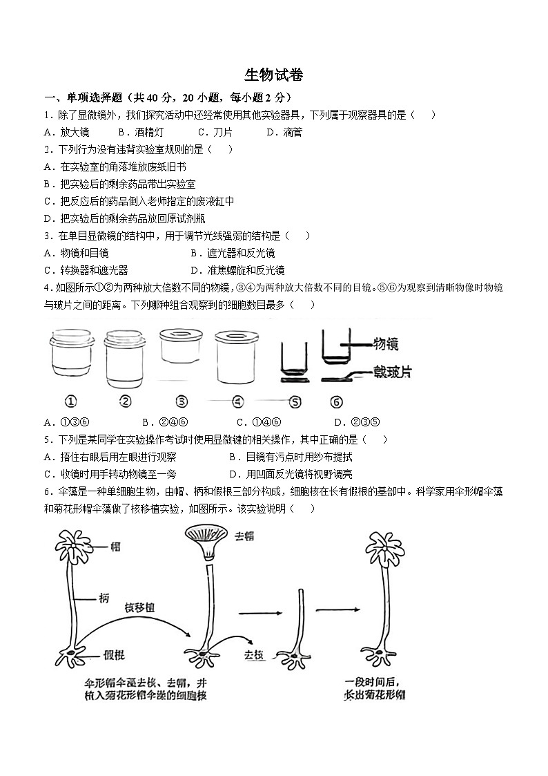 辽宁省鞍山市高新区2024-2025学年七年级上学期期中生物学试题第1页