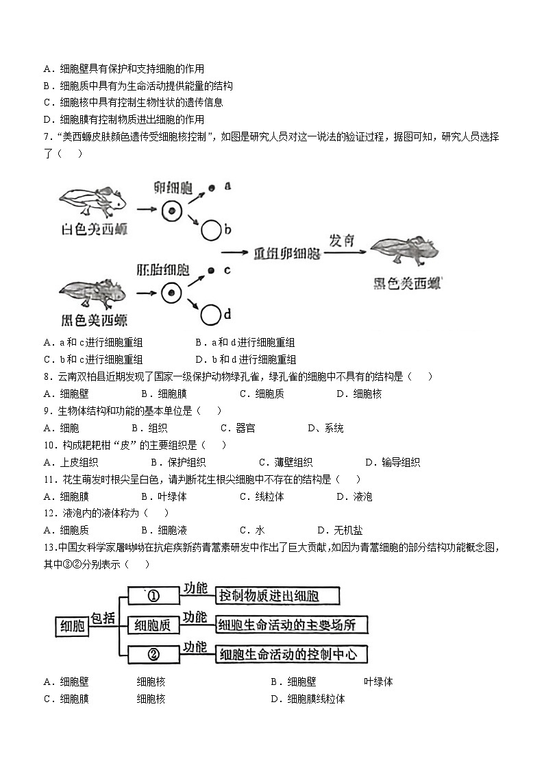 辽宁省鞍山市高新区2024-2025学年七年级上学期期中生物学试题第2页