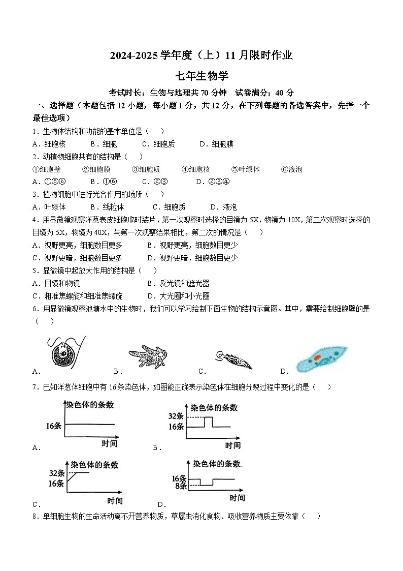 辽宁省鞍山市高新区2024-2025学年七年级上学期11月月考生物学试题第1页