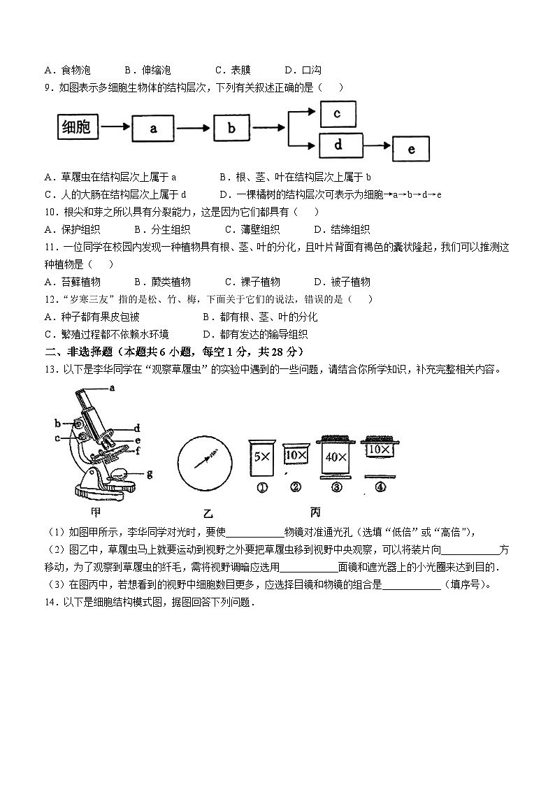 辽宁省鞍山市高新区2024-2025学年七年级上学期11月月考生物学试题第2页