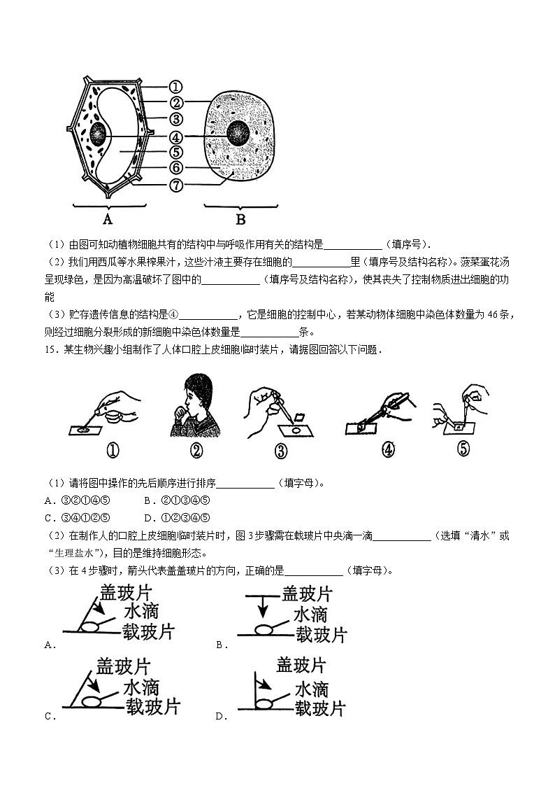 辽宁省鞍山市高新区2024-2025学年七年级上学期11月月考生物学试题第3页