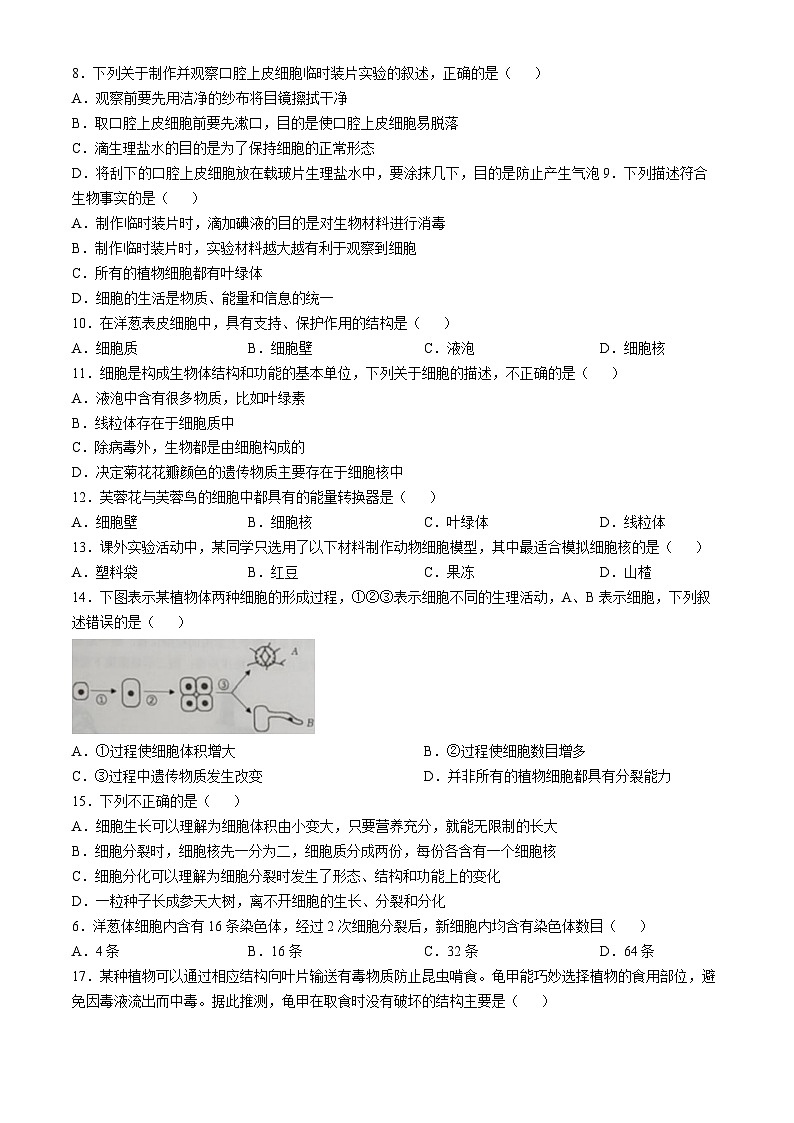 江西省赣州市经开区2024-2025学年七年级上学期期中生物学试题第2页