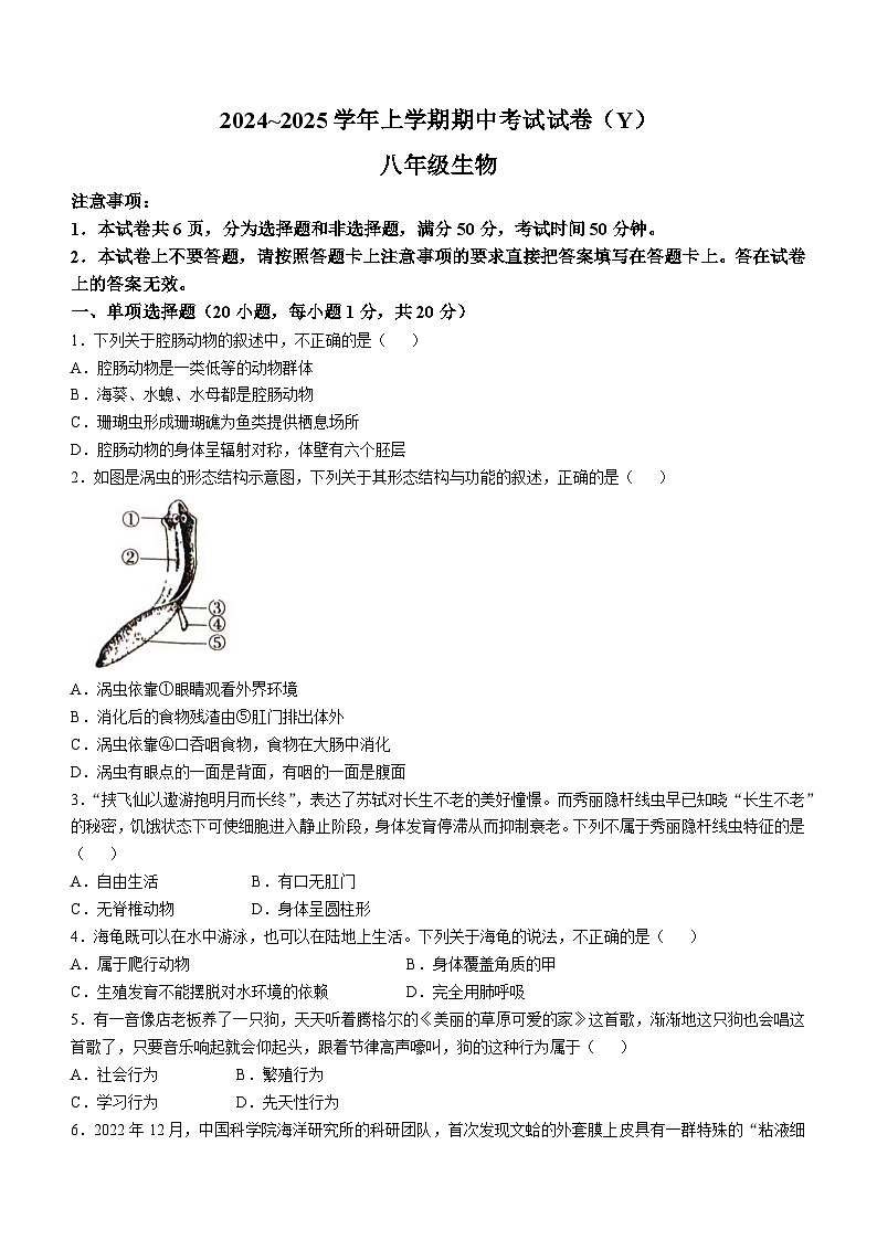 河南省漯河市舞阳县2024-2025学年八年级上学期期中生物试题第1页