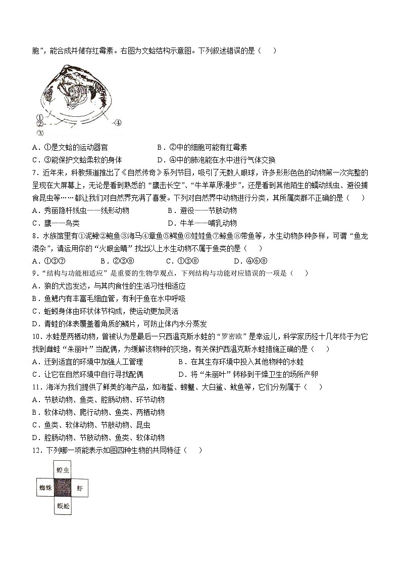 河南省漯河市舞阳县2024-2025学年八年级上学期期中生物试题第2页
