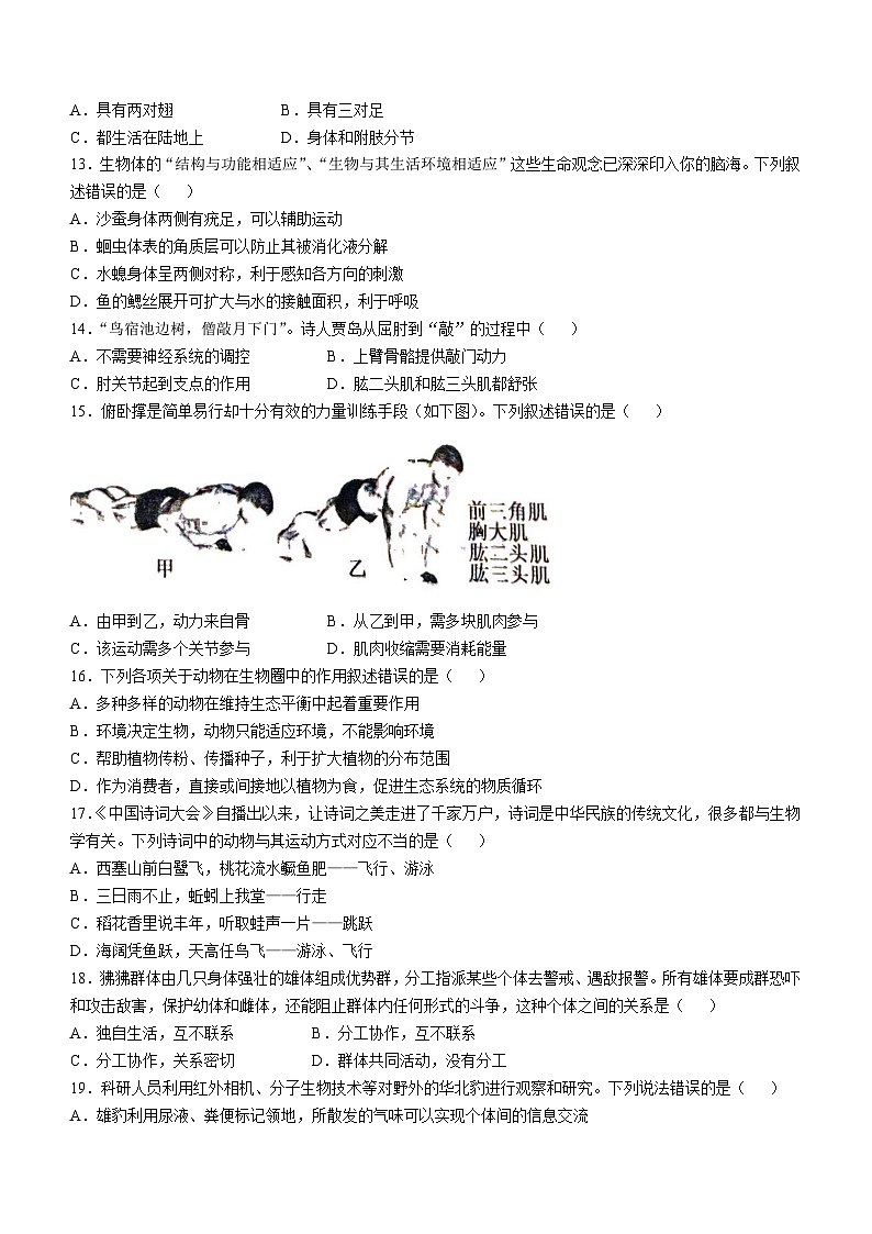 河南省漯河市舞阳县2024-2025学年八年级上学期期中生物试题第3页