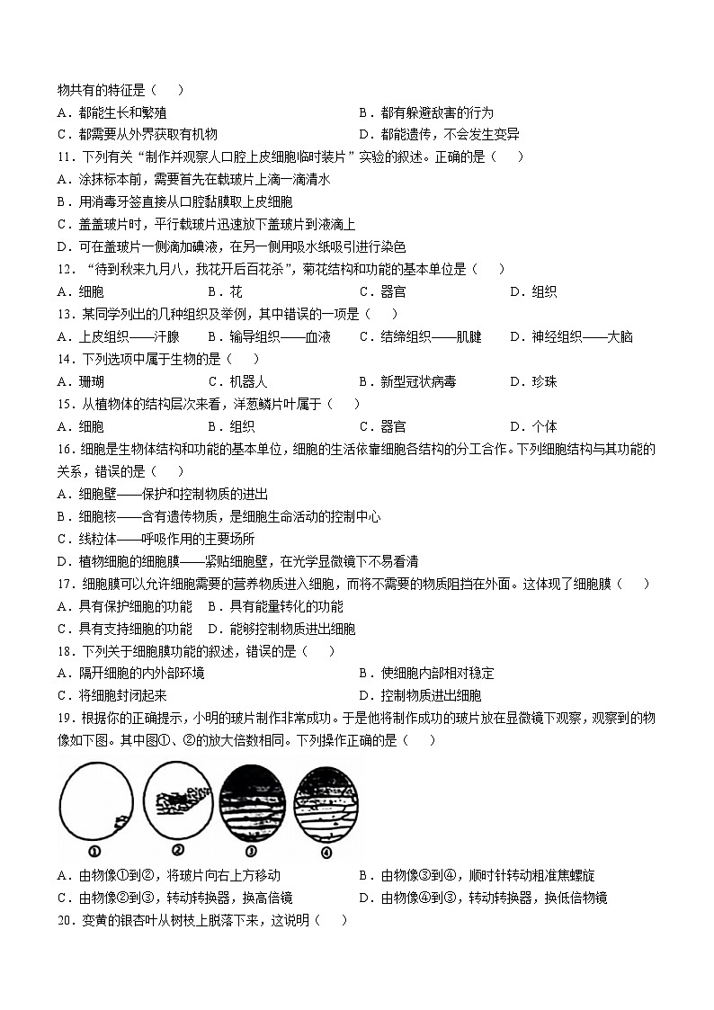 广西桂林市第一中学2024-2025学年七年级上学期期中生物试题(无答案)第2页