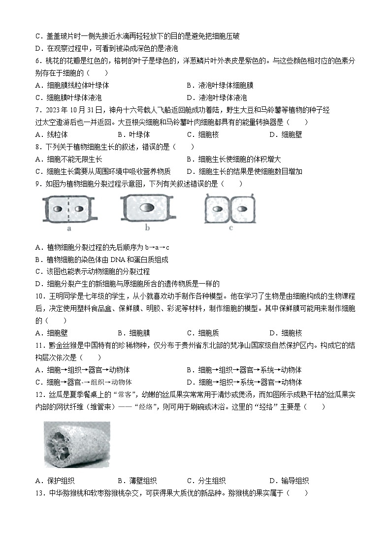 贵州省黔南州长顺县2024-2025学年七年级上学期期中生物学试题第2页