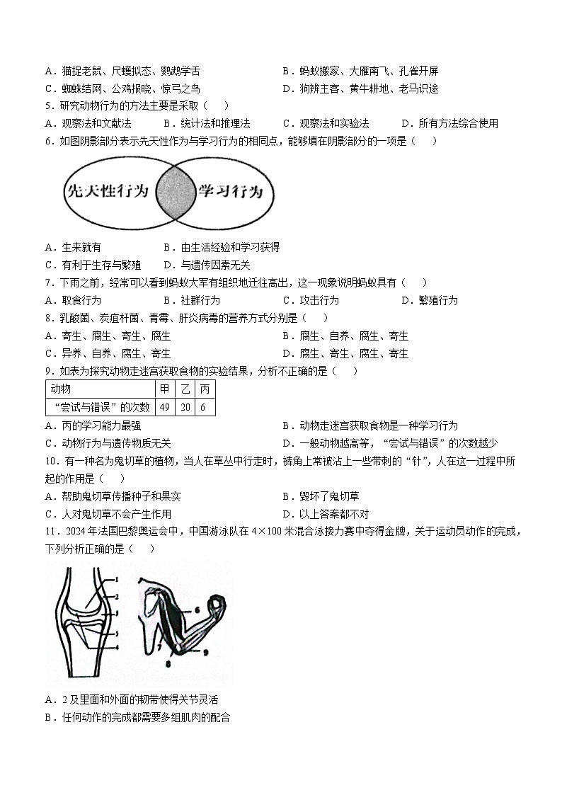 海南省儋州市2024-2025学年八年级上学期期中生物学试题(无答案)第2页