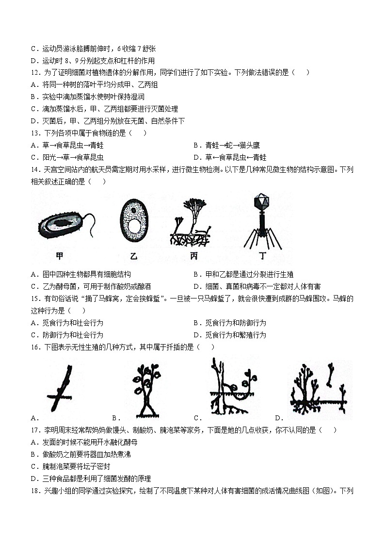 海南省儋州市2024-2025学年八年级上学期期中生物学试题(无答案)第3页