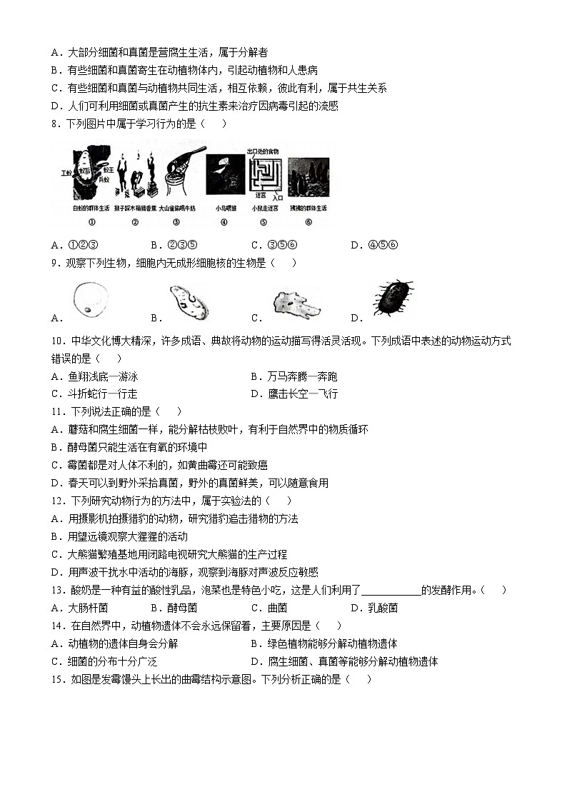 河南省安阳市2024-2025学年八年级上学期期中生物学试题第2页