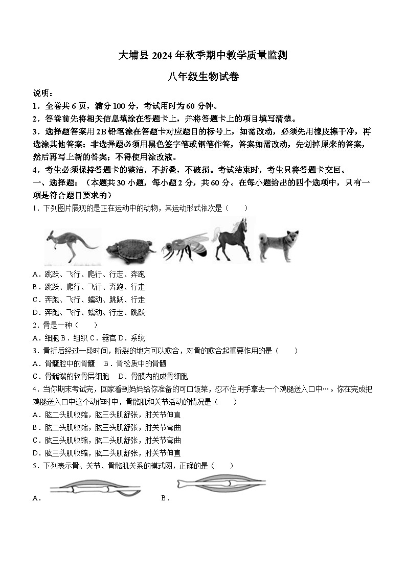 广东省梅州市大埔县2024-2025学年八年级上学期期中生物学试题第1页