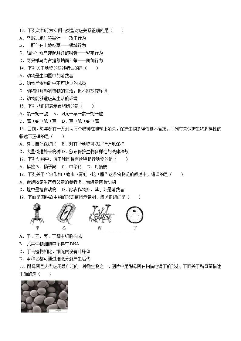 广东省梅州市大埔县2024-2025学年八年级上学期期中生物学试题第3页