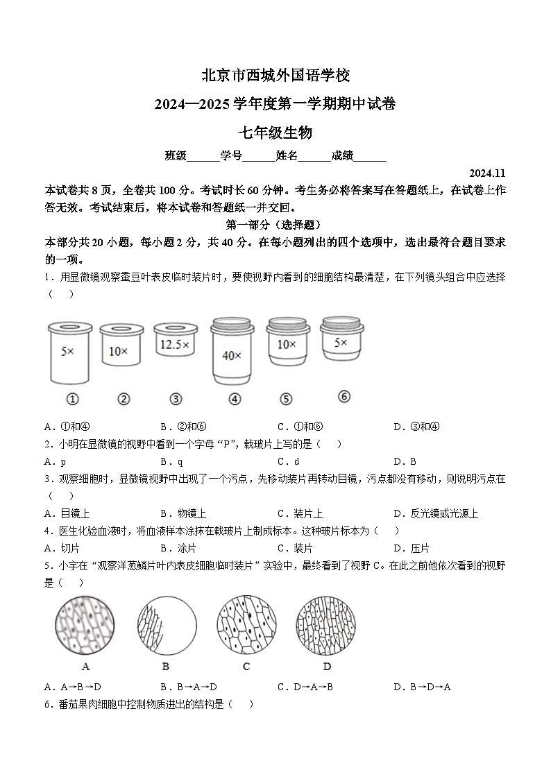 北京市西城区外国语学校2024-2025学年七年级上学期期中生物试题第1页