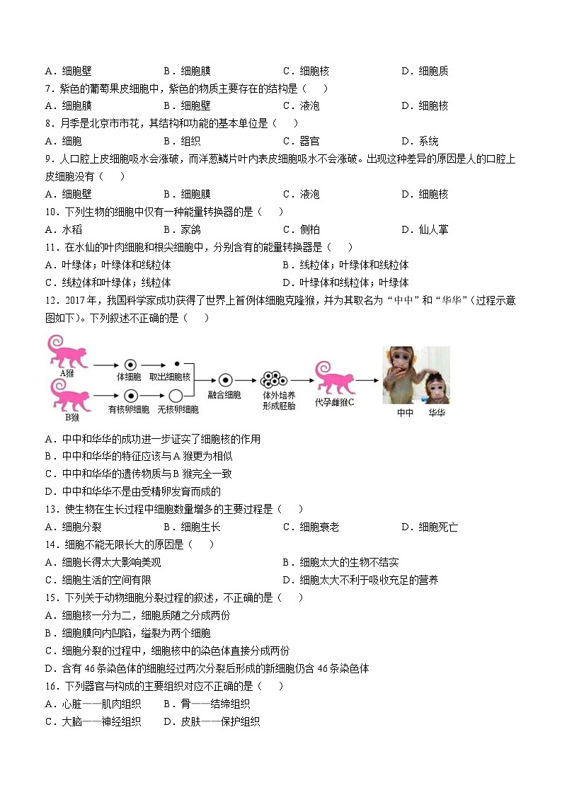 北京市西城区外国语学校2024-2025学年七年级上学期期中生物试题第2页