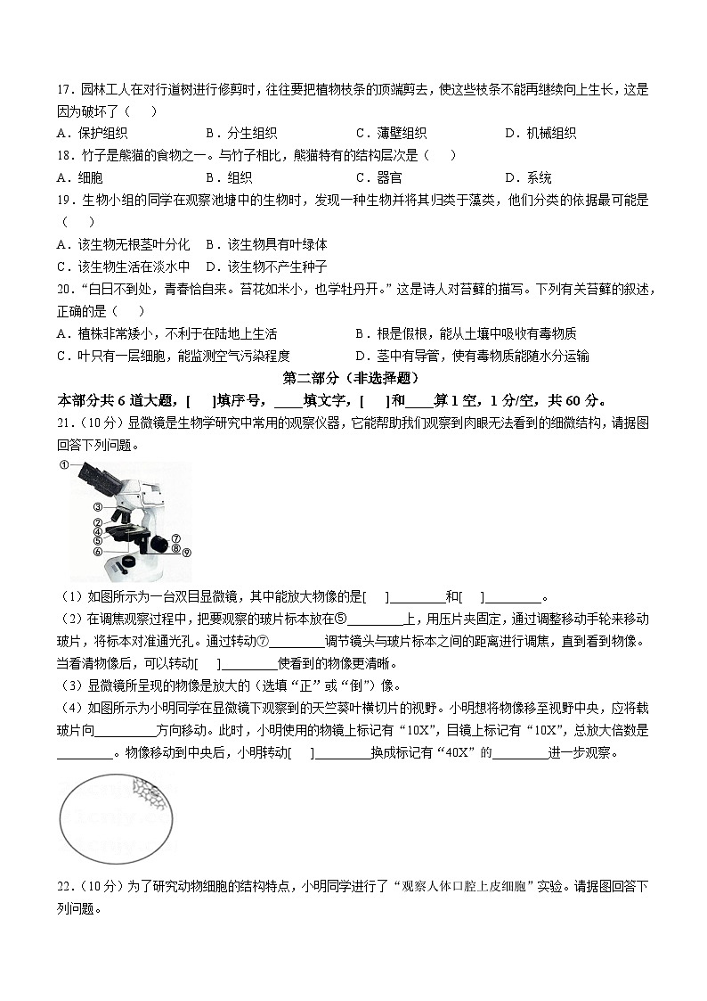 北京市西城区外国语学校2024-2025学年七年级上学期期中生物试题第3页
