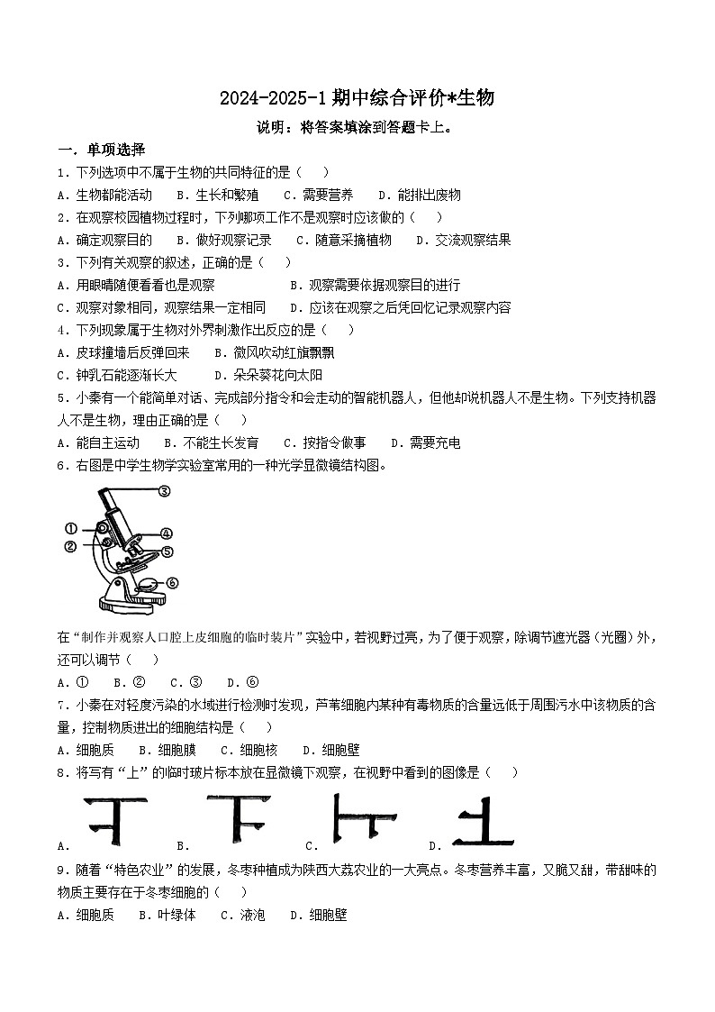 陕西省西安市铁一中学2024-2025学年七年级上学期期中生物试题(无答案)第1页