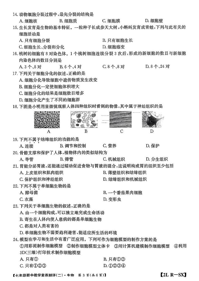 陕西省西安市灞桥区2024-2025学年七年级上学期期中测评生物试题第3页