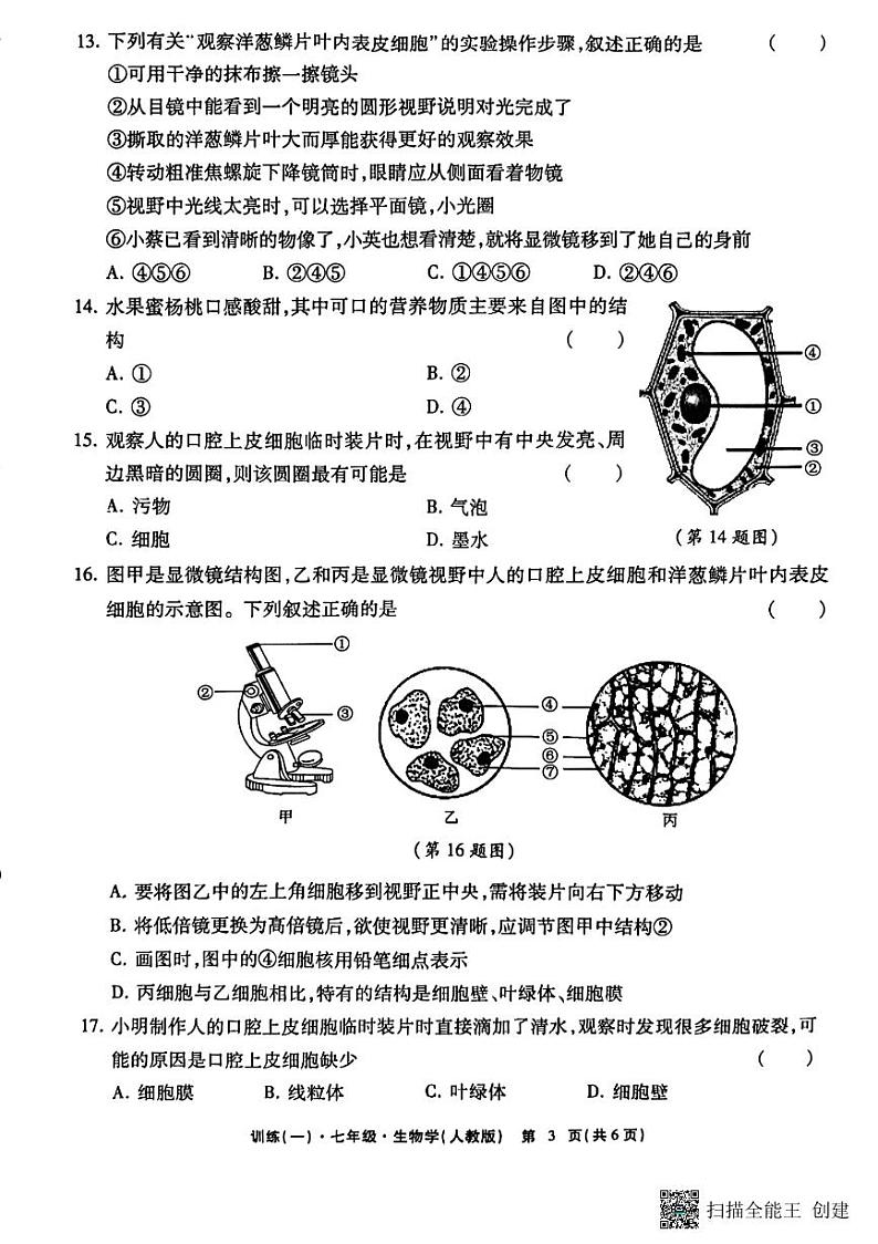江西省上饶市鄱阳二中2024-2025学年七年级上学期期中生物试卷第3页