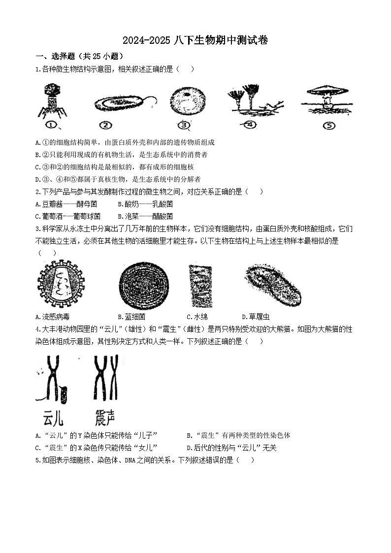 河北省廊坊市第四中学2024-2025学年八年级上学期期中生物试题(无答案)第1页