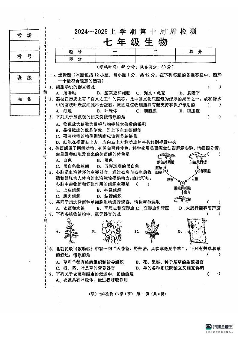 辽宁省鞍山市岫岩县2024～2025学年七年级上学期期中生物试卷第1页