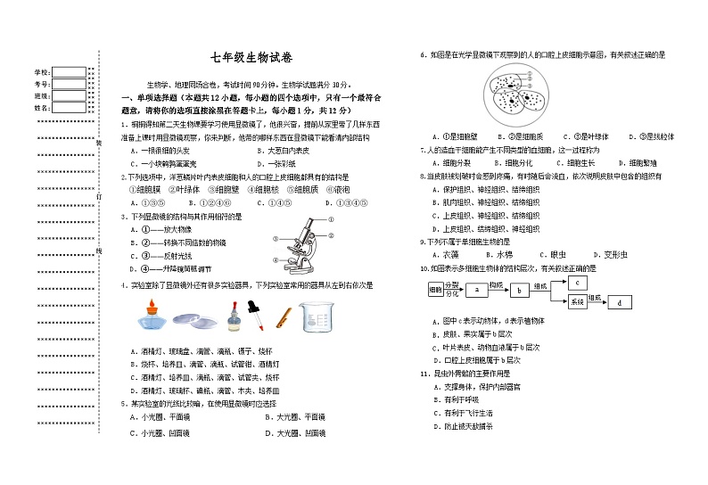 辽宁省沈阳市于洪区2024-2025学年七年级上学期期中生物试卷第1页