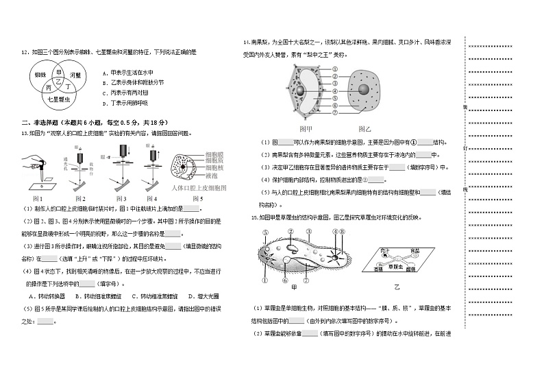 辽宁省沈阳市于洪区2024-2025学年七年级上学期期中生物试卷第2页