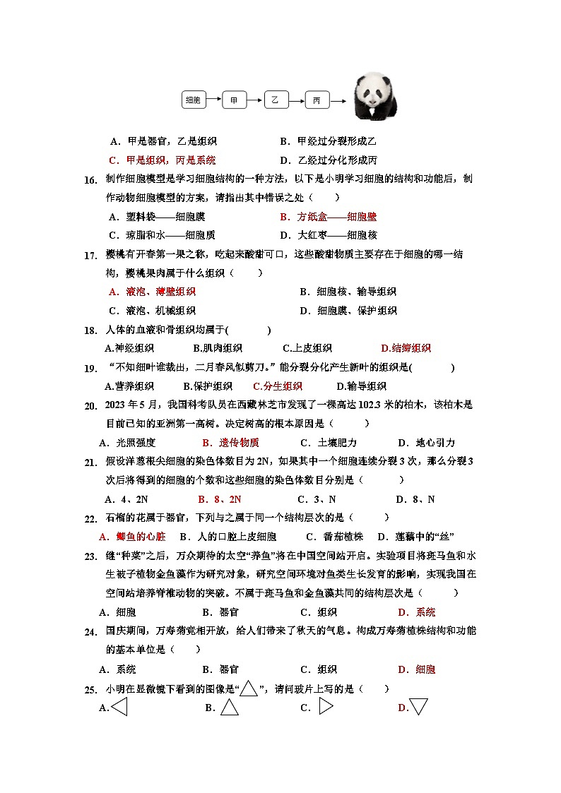 广东省封开县广信中学2024-2025学年七年级上学期期中考试生物试题第3页