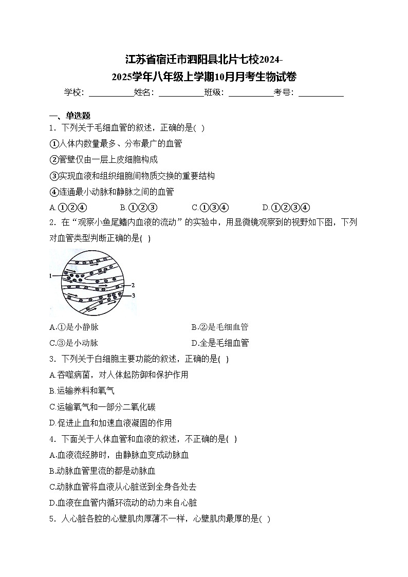 江苏省宿迁市泗阳县北片七校2024-2025学年八年级上学期10月月考生物试卷(含答案)第1页