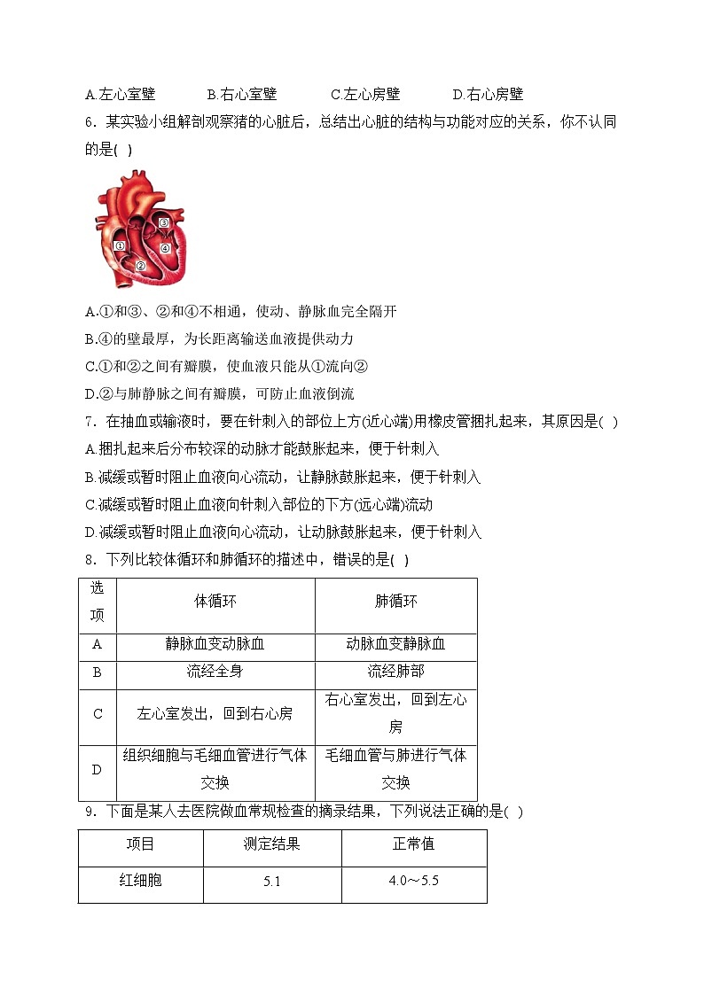 江苏省宿迁市泗阳县北片七校2024-2025学年八年级上学期10月月考生物试卷(含答案)第2页