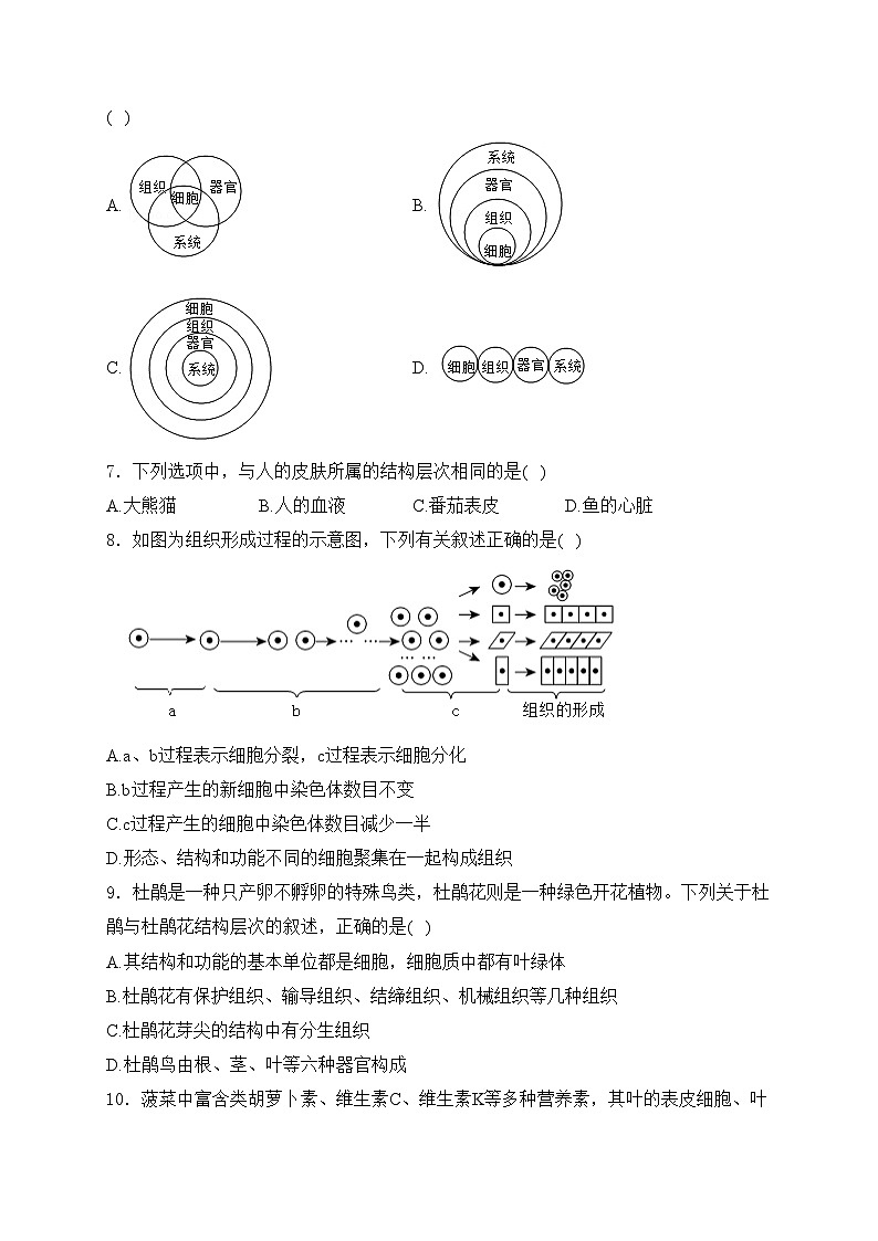 山西省大同市云州区两校联考2024-2025学年七年级上学期10月月考生物试卷(含答案)第2页