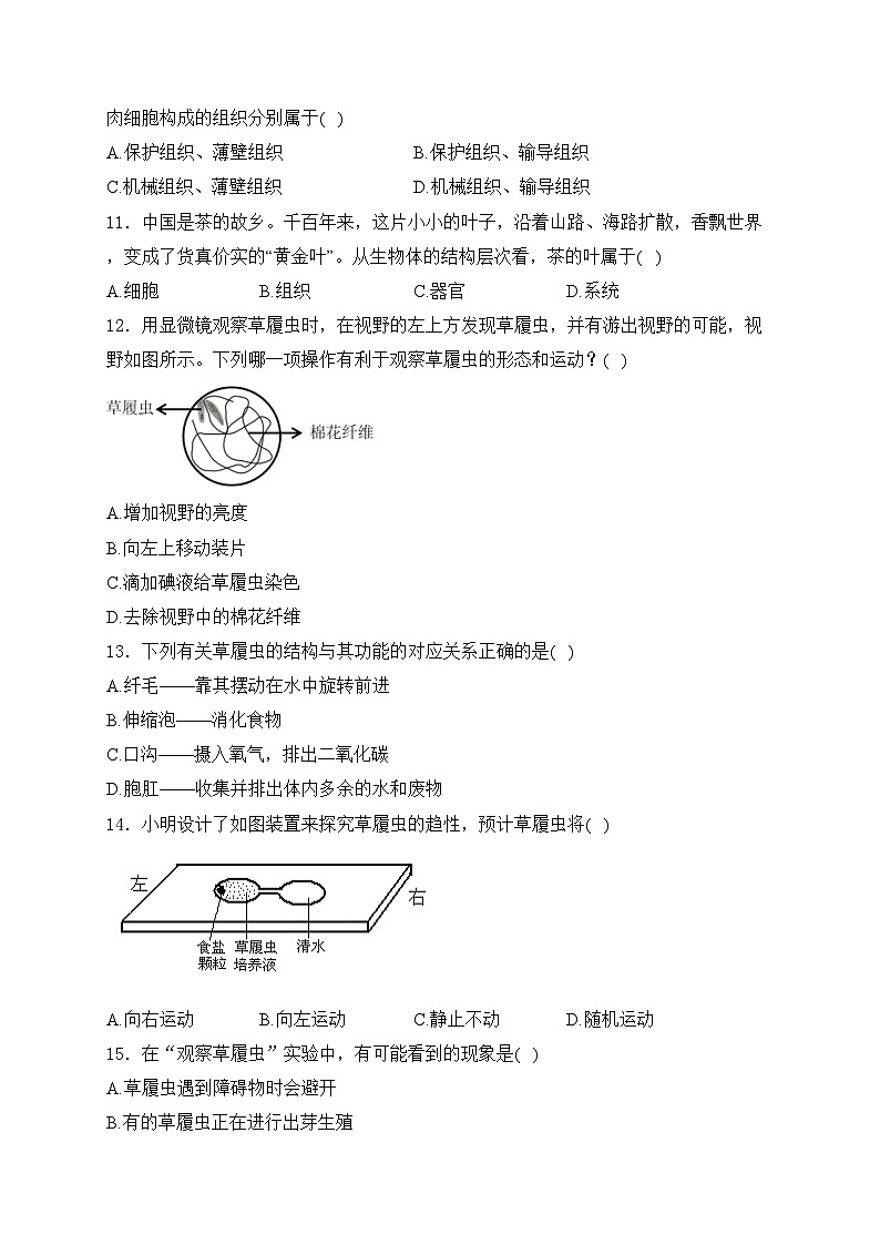 山西省大同市云州区两校联考2024-2025学年七年级上学期10月月考生物试卷(含答案)第3页