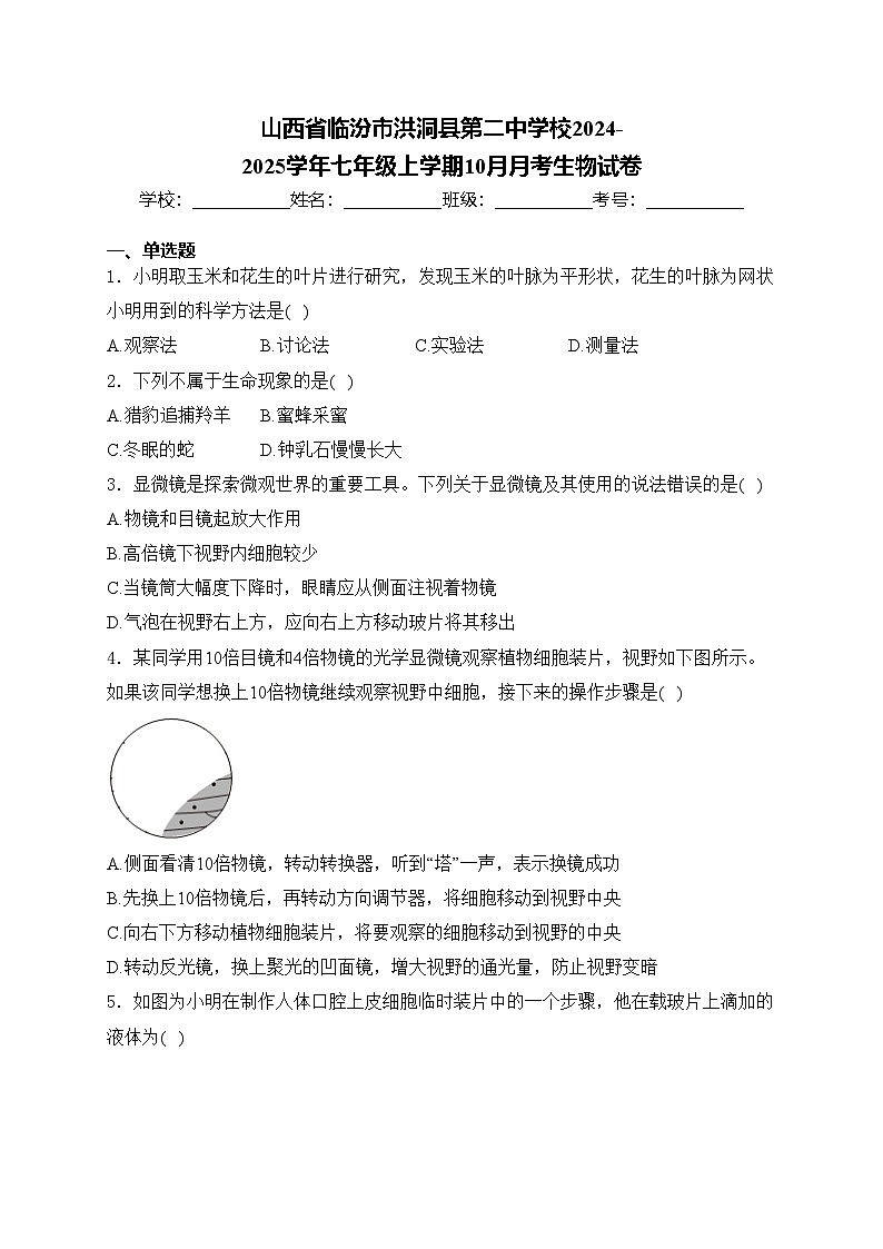 山西省临汾市洪洞县第二中学校2024-2025学年七年级上学期10月月考生物试卷(含答案)01