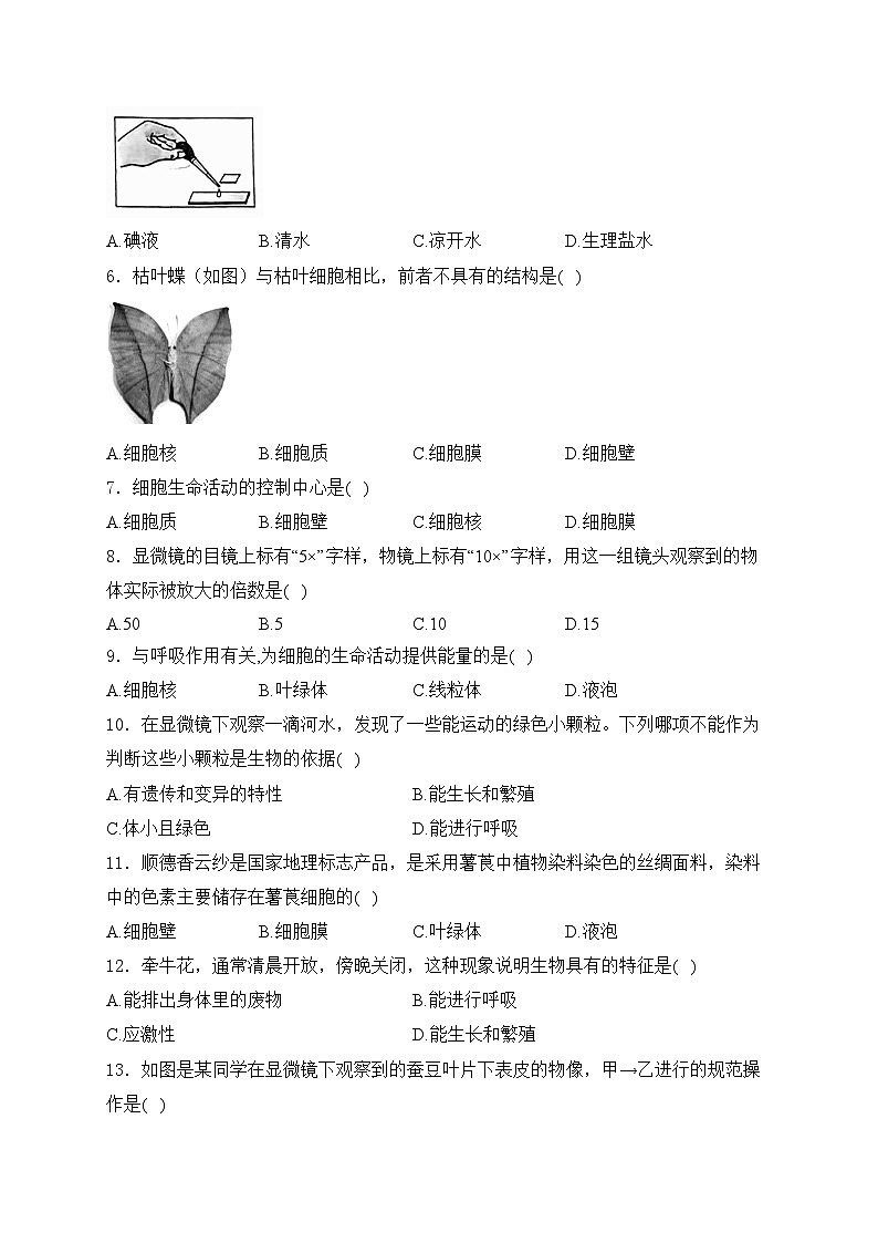 山西省临汾市洪洞县第二中学校2024-2025学年七年级上学期10月月考生物试卷(含答案)02