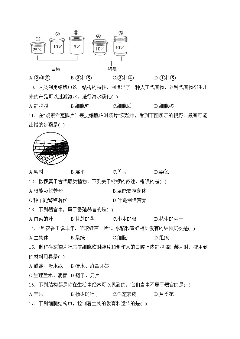 重庆市江津区第二中学十校联考2024-2025学年七年级上学期期中测试生物试卷(含答案)第2页