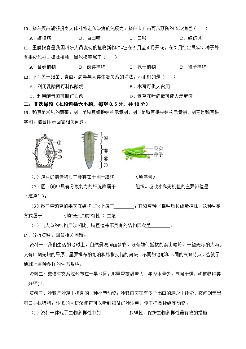 辽宁省2024年中考生物试卷【附真题答案】第2页
