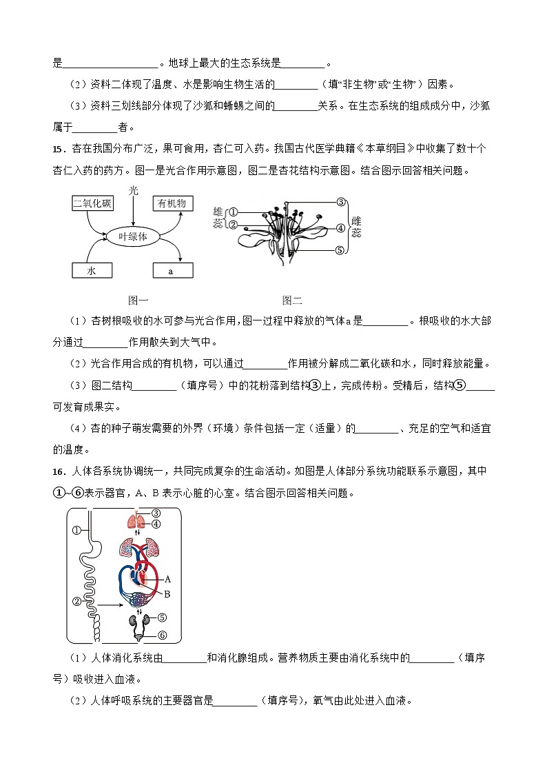 辽宁省2024年中考生物试卷【附真题答案】第3页