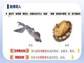 人教版生物七年级上册2.2.1《无脊椎动物》教学课件