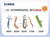 人教版生物七年级上册2.2.1《无脊椎动物》教学课件