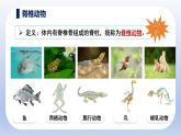 人教版生物七年级上册2.2.1《无脊椎动物》教学课件